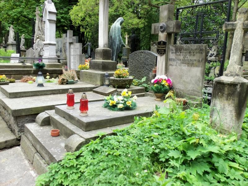Zdjęcie grobu Szczepan Królikowski (1)