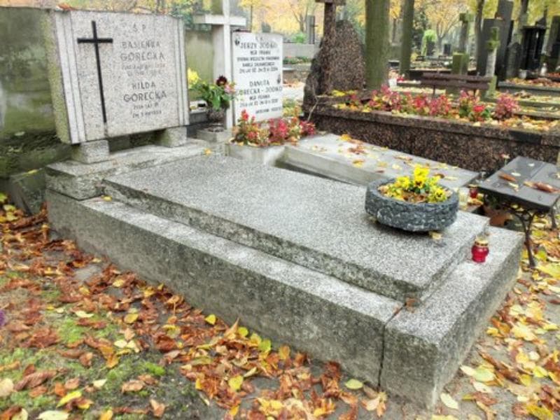 Zdjęcie grobu Hilda Górecka (1)