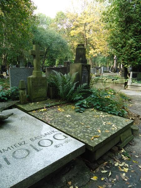Zdjęcie grobu Antoni Paszkowski (1)