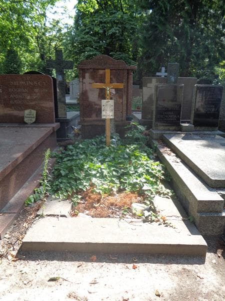 Zdjęcie grobu Stanisława Natalia Rotszejn (1)