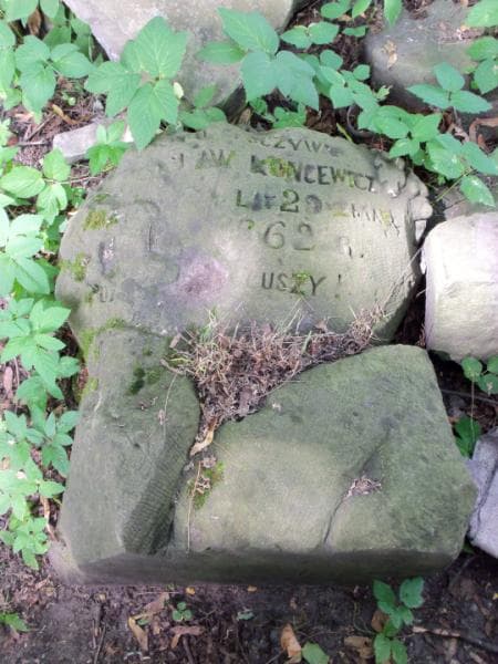 Zdjęcie grobu Pole Grobowe (koncewicz) (2)