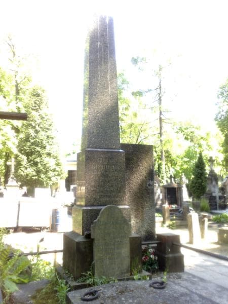 Zdjęcie grobu Ludwik Cichocki (1)