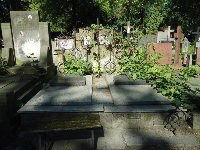 Zdjęcie grobu: Leon Bregy