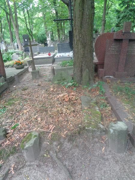 Zdjęcie grobu Matylda Polemberska (1)