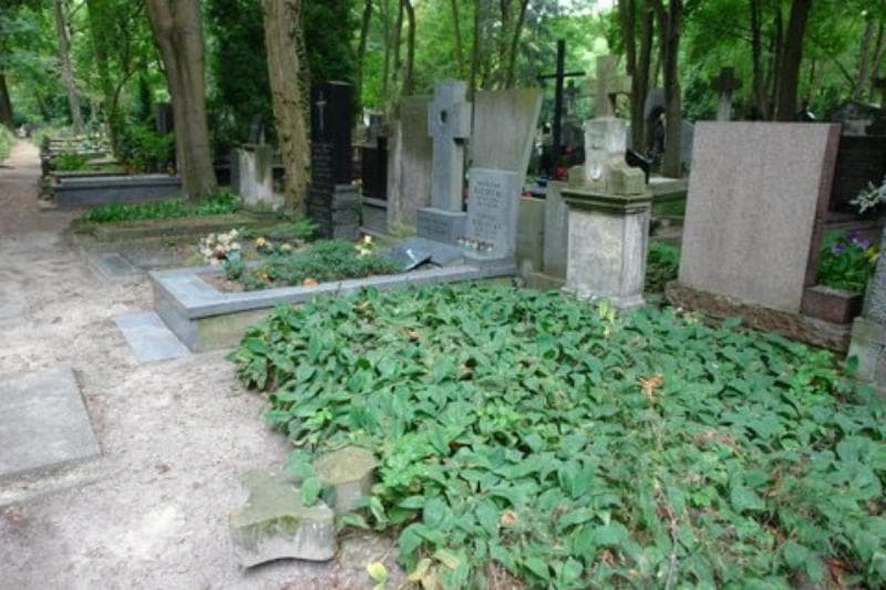 Zdjęcie grobu Kazimierz Arciszewski (1)