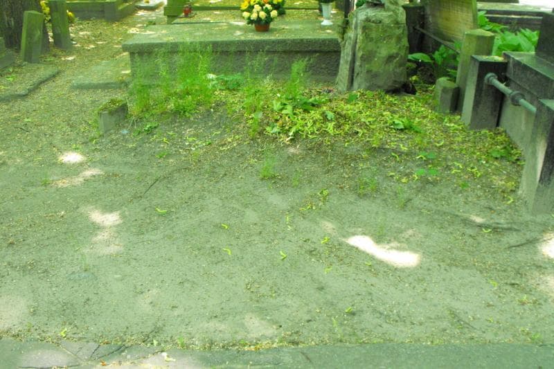 Zdjęcie grobu: Pole Grobowe