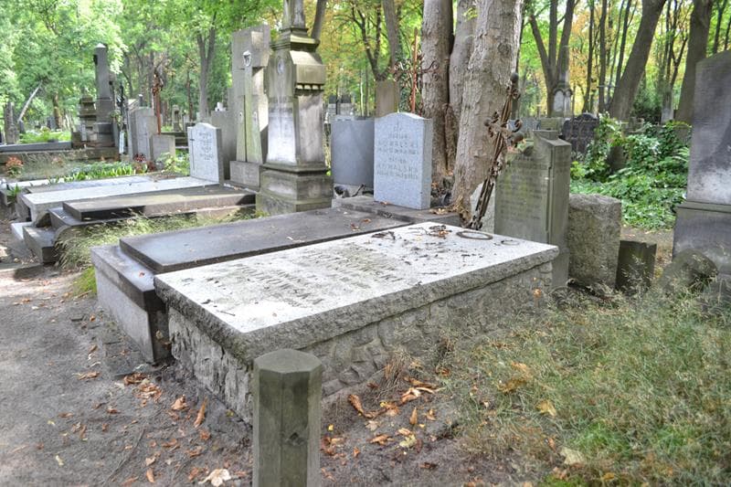 Zdjęcie grobu: Józef Leszczyc-Radoliński
