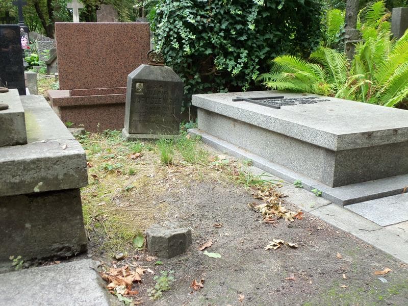 Zdjęcie grobu Ludwik Jaroszewski (1)