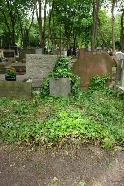 Zdjęcie grobu Wacław Bożyc-Kuczewski (1)