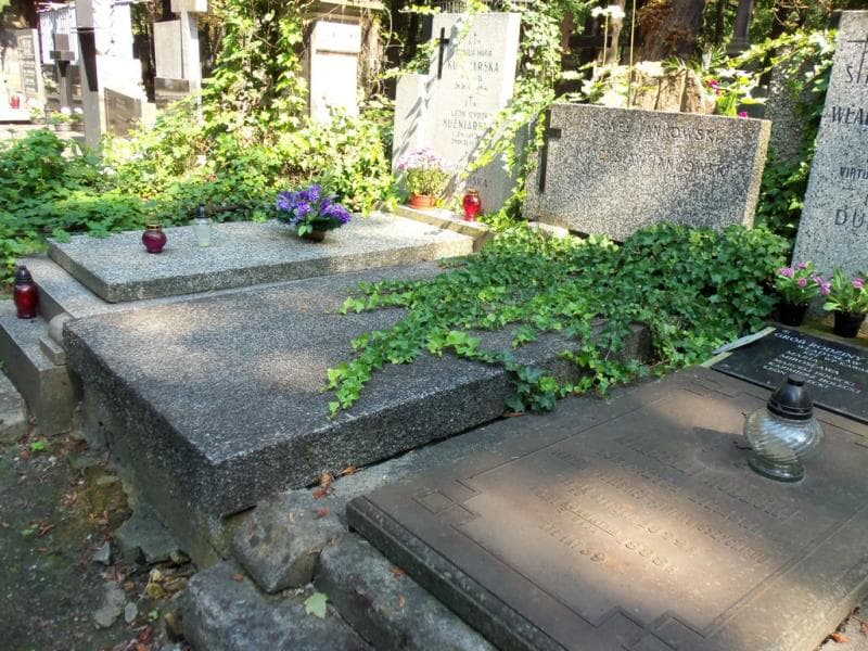 Zdjęcie grobu Władysław Jankowski (1)