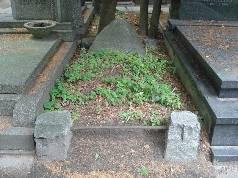 Zdjęcie grobu Kazimierz Grzankowski (1)