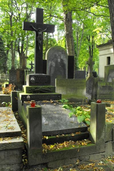 Zdjęcie grobu: Alicja Chudzyńska