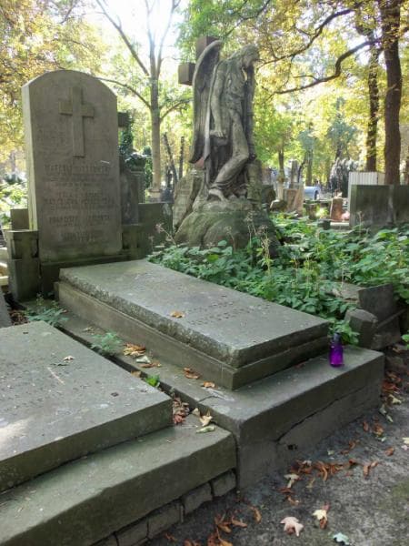 Zdjęcie grobu Anna Kłyszewska (1)