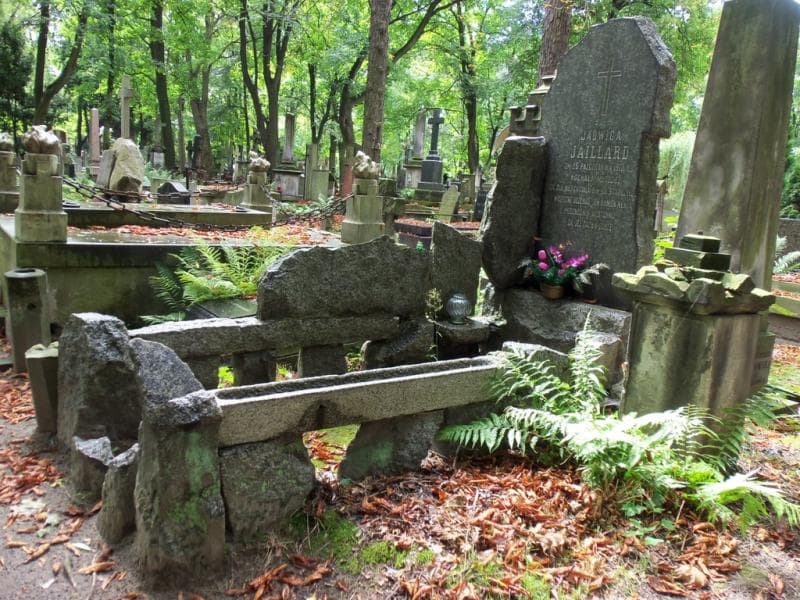 Zdjęcie grobu Jadwiga Jaillard (1)