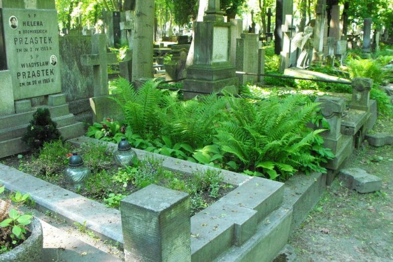 Zdjęcie grobu Władysław Piekarski (1)