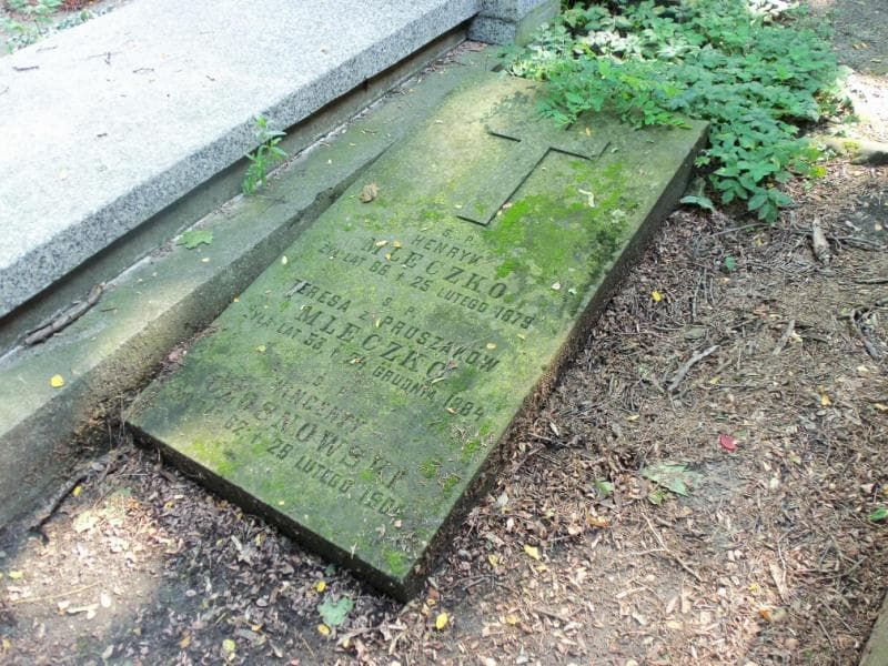 Zdjęcie grobu Wincenty Czosnowski (1)