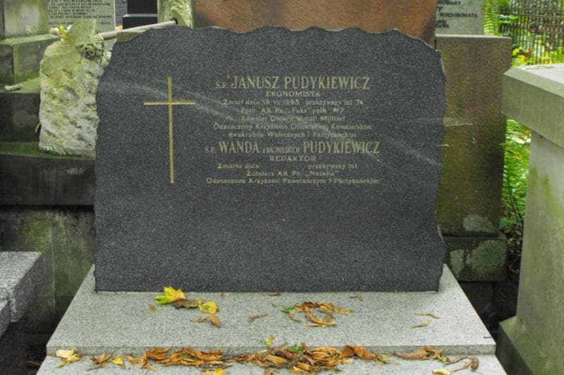 Zdjęcie grobu Janusz Pudykiewicz (2)
