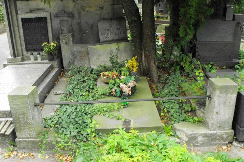Zdjęcie grobu: Amelia Bogucka