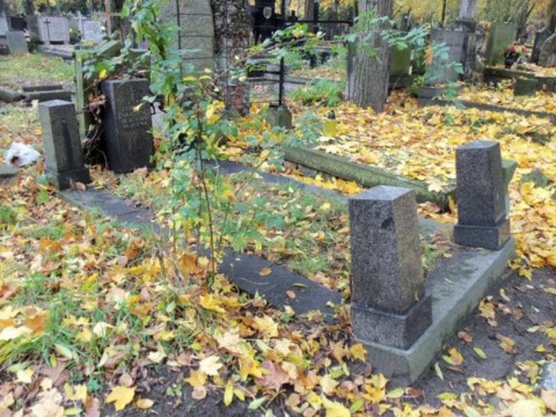 Zdjęcie grobu Zygmunt Dworski (1)