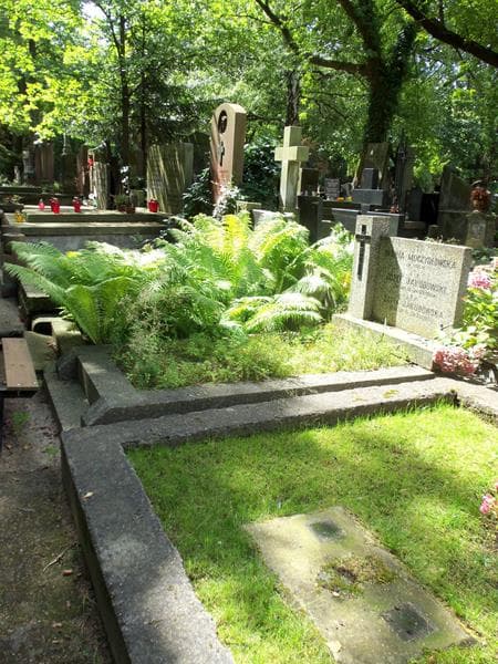 Zdjęcie grobu Zofia Jakubowska (1)