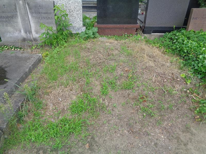 Zdjęcie grobu Pole Grobowe (1)