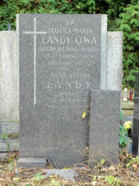 Zdjęcie grobu Adam Antoni Landy (2)