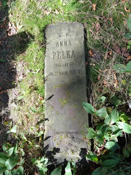 Zdjęcie grobu Anna Pełka (1)