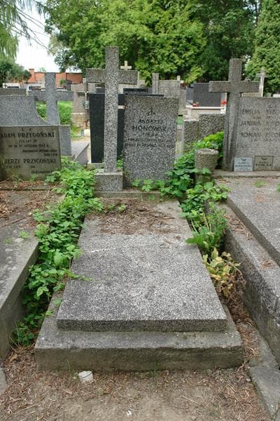 Zdjęcie grobu Andrzej Honowski (1)