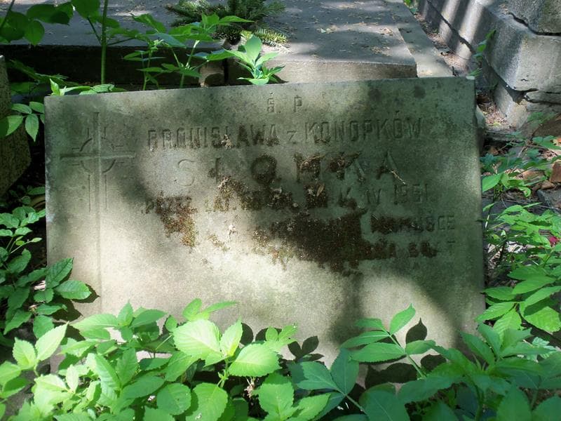 Zdjęcie grobu Bronisława Słomka (2)