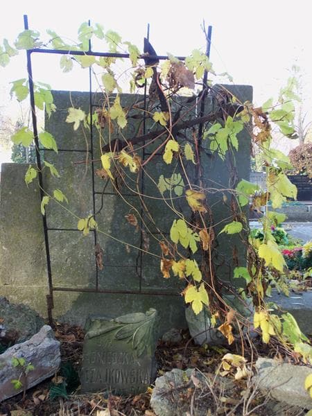 Zdjęcie grobu Agnieszka Czajkowska (1)