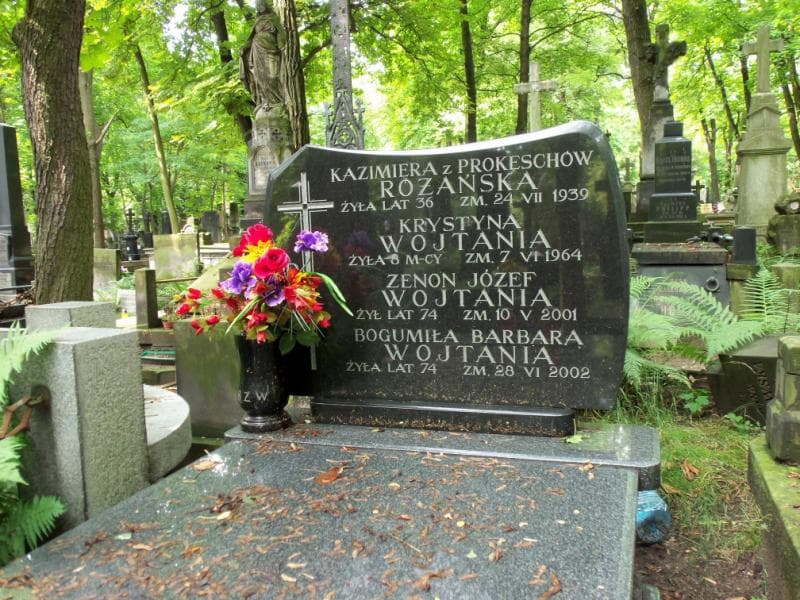 Zdjęcie grobu Krystyna Wojtania (1)