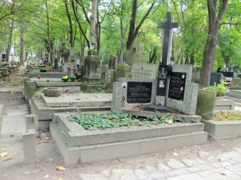 Zdjęcie grobu Krystyna Dzięgielewska (1)