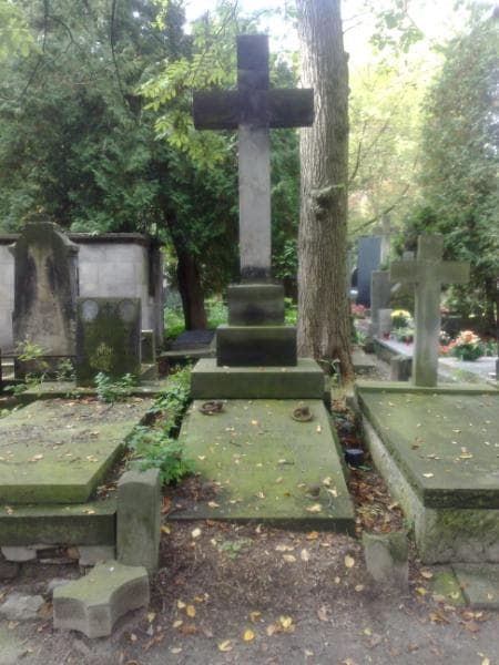 Zdjęcie grobu: Eugeniusz Niemirycz