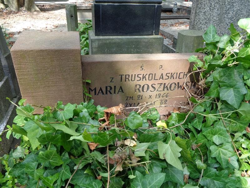 Zdjęcie grobu Maria Roszkowska (2)
