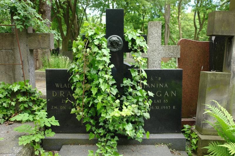 Zdjęcie grobu Janina Dragan (2)
