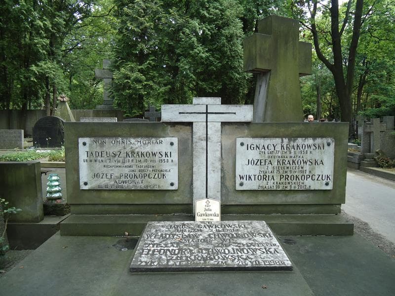 Zdjęcie grobu Eleonora Chwojnowska (2)