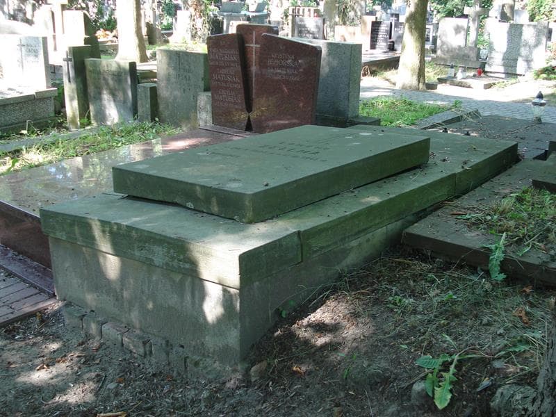 Zdjęcie grobu: Edmund Zellma