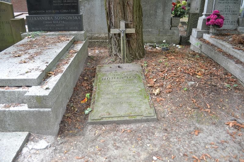 Zdjęcie grobu Tekla Borewicz (1)