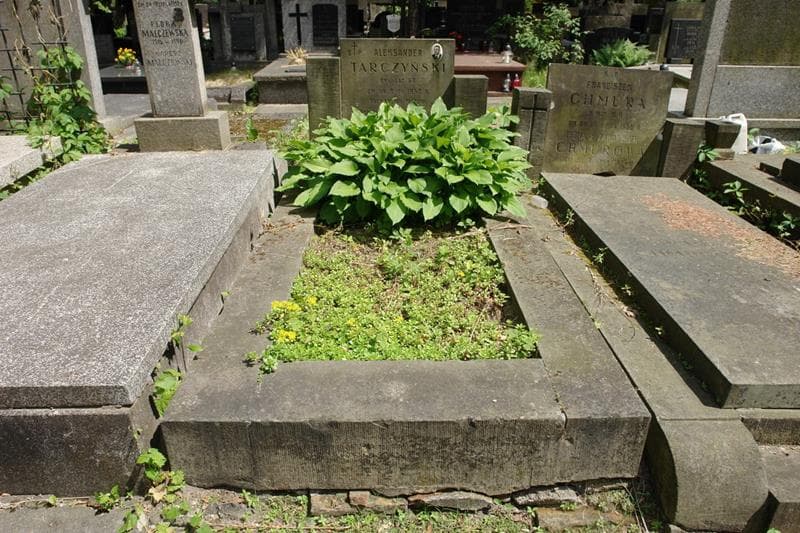 Zdjęcie grobu Aleksander Tarczyński (1)