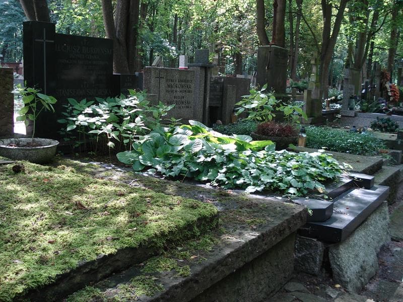 Zdjęcie grobu Lucjusz Burdyński (1)