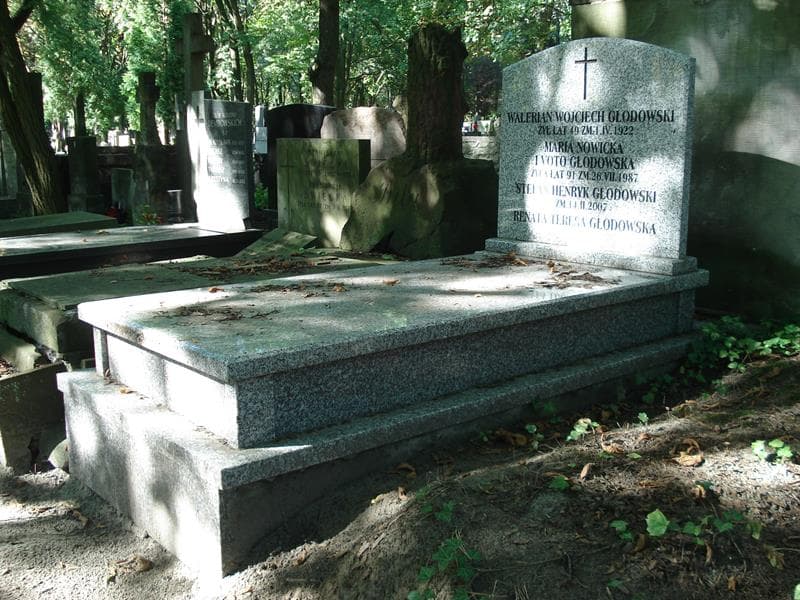 Zdjęcie grobu Stefan Henryk Głodowski (1)