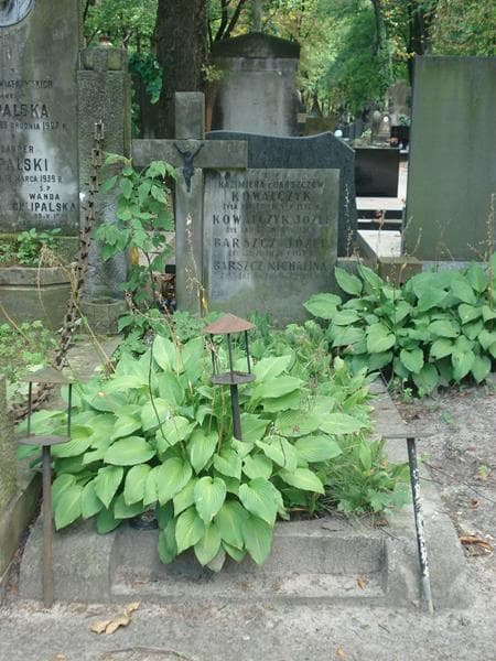 Zdjęcie grobu: Józef Barszcz
