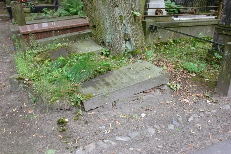 Zdjęcie grobu: Aleksander Jarząbkowski
