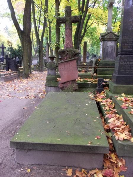 Zdjęcie grobu: Władysław Linke