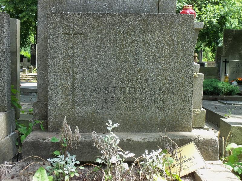 Zdjęcie grobu Anna Ostrowska (2)
