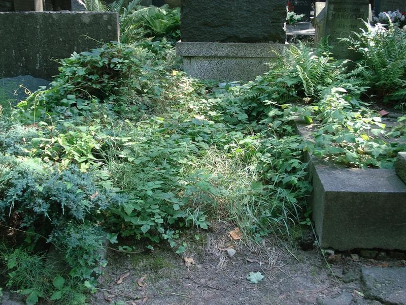 Zdjęcie grobu: Pole Grobowe