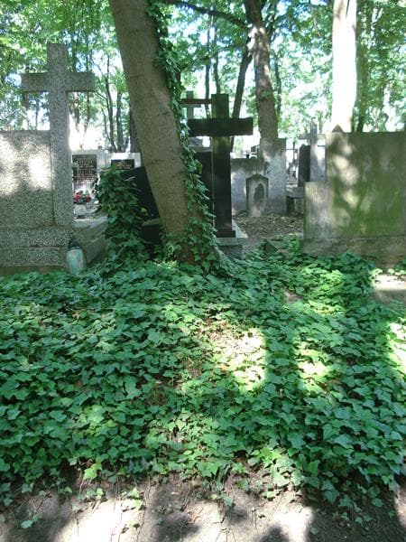 Zdjęcie grobu: Witold Rymaszewski