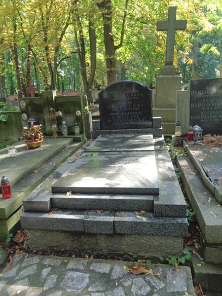 Zdjęcie grobu Stanisław Czarnecki (1)