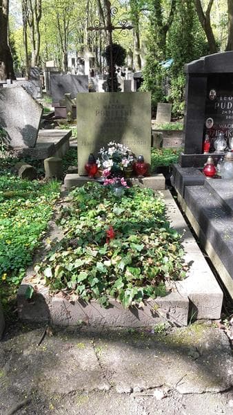 Zdjęcie grobu: Wacław Pudelski