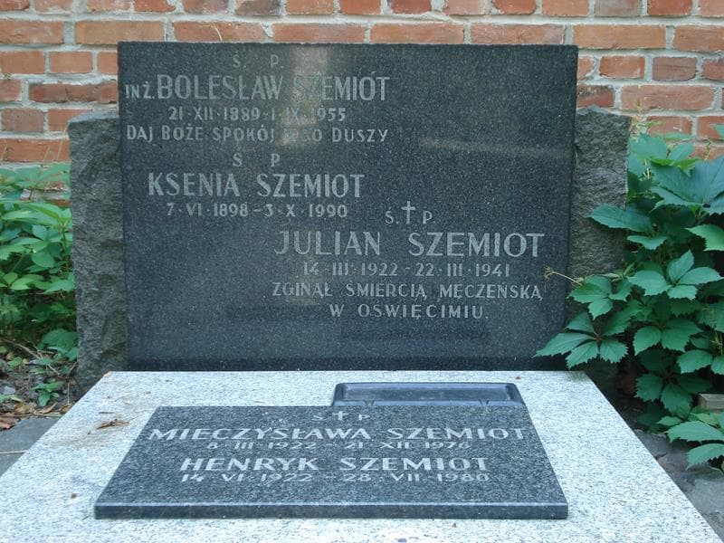 Zdjęcie grobu Henryk Szemiot (2)